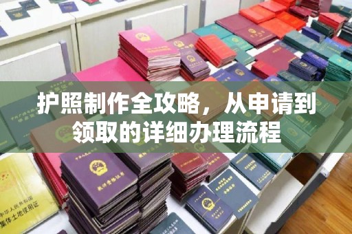 芳苑护照制作全攻略，从申请到领取的详细办理流程